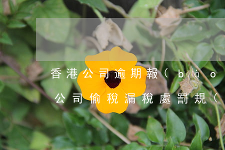 香港公司逾期報(bào)稅罰款處理(香港公司偷稅漏稅處罰規(guī)定)