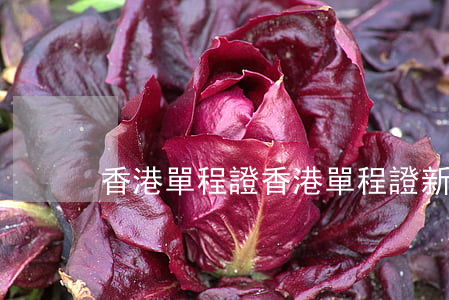 香港單程證(香港單程證新規(guī)定)