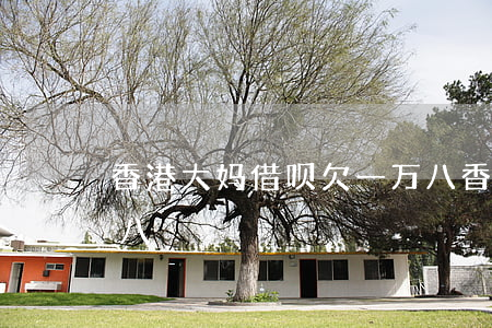 香港大妈借呗欠一万八(香港大妈借呗欠一万八)