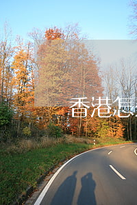 香港怎么辦離婚最快(香港怎么辦離婚最快)