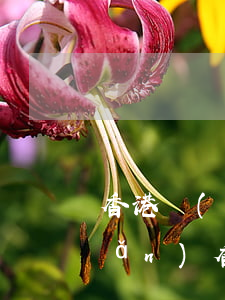 香港戶(hù)籍如何繼承大陸遺產(chǎn)，香港人的遺產(chǎn)在內(nèi)地，怎么繼承