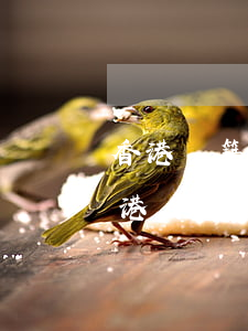 香港戶籍如何繼承大陸遺產(chǎn)，香港人的遺產(chǎn)在內(nèi)地，怎么繼承