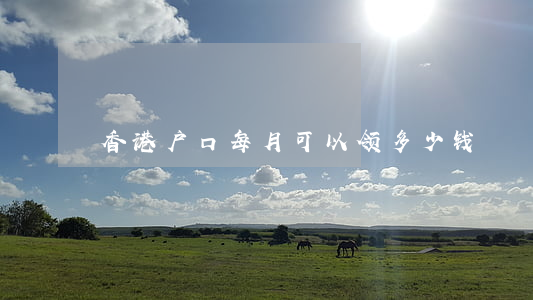 香港户口每月可以领多少钱