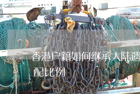 香港户籍如何继承大陆遗产(香港遗产继承分配比例)