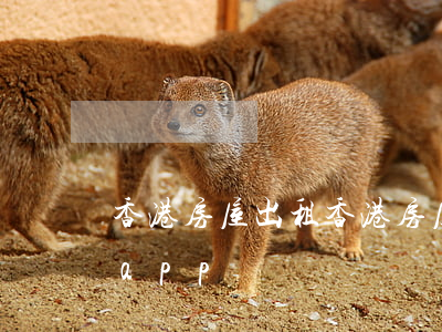 香港房屋出租(香港房屋出租網(wǎng)app)