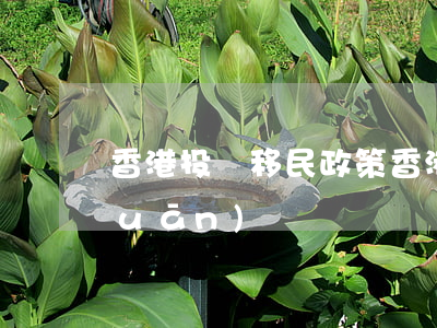 香港投資移民政策(香港投資移民政策關(guān)閉)