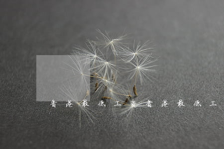 香港最低工资(香港最低工资标准)
