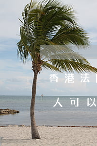 香港法院可以上訴到最高法院嗎(被告是香港人可以在大陸起訴嗎)