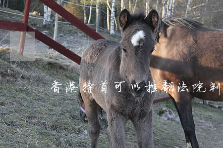 香港特首可以推翻法院判決嗎(香港特首制裁)