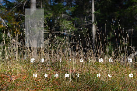 香港發(fā)信息說我信用卡逾期(我的信用卡逾期了為什么沒收到提醒)