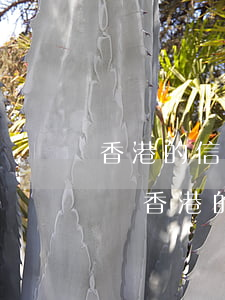 香港的信用卡不還會(huì)怎么樣(怎么辦香港的信用卡)