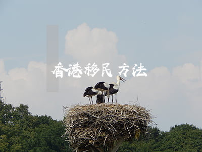 香港移民方法