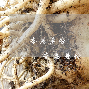 香港身份證內(nèi)地信用卡逾期不還-香港身份證內(nèi)地信用卡逾期不還會怎么樣