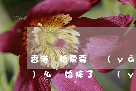 香港離婚需要撫養(yǎng)費(fèi)么(離婚除了撫養(yǎng)費(fèi)還需要支付什么費(fèi)用)