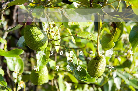 馬上2000元逾期兩年怎么還(兩千塊錢逾期兩年需要還多少)