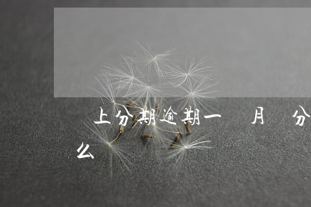 馬上分期逾期一個月 來分期逾期一個小時怎么辦