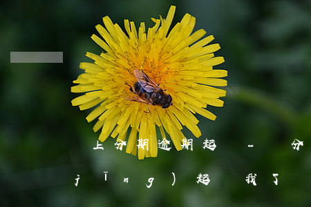 馬上分期逾期起訴-來分期逾期半年已經(jīng)起訴我了