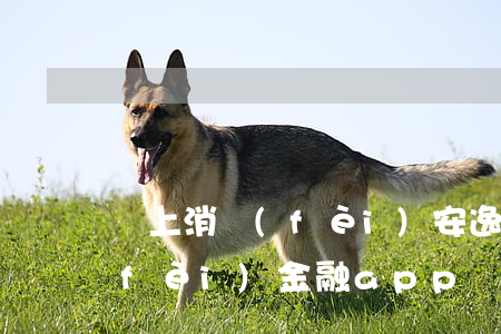 馬上消費(fèi)安逸花逾期(馬上消費(fèi)金融app還款下載安逸花)