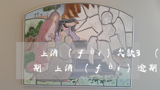 馬上消費(fèi)欠款3萬(wàn)逾期(馬上消費(fèi)逾期三天)