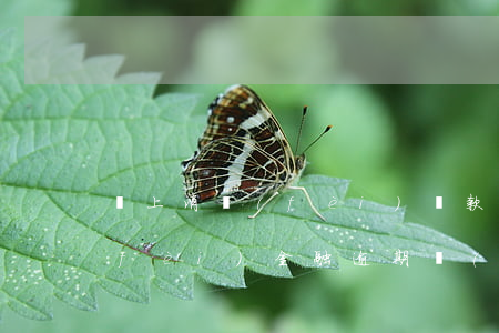 馬上消費(fèi)貸款逾期了(馬上消費(fèi)金融逾期說(shuō)立案了)