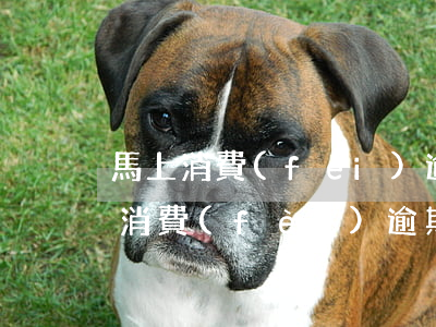 馬上消費(fèi)逾期起訴你怎么辦（馬上消費(fèi)逾期起訴）