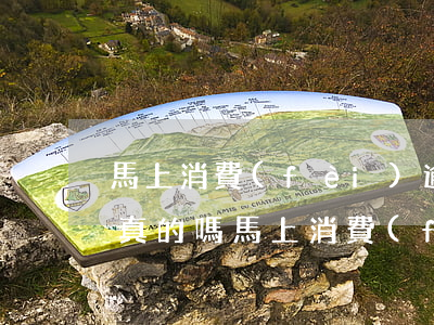 馬上消費(fèi)逾期起訴時(shí)真的嗎(馬上消費(fèi)逾期3年會(huì)告嗎)