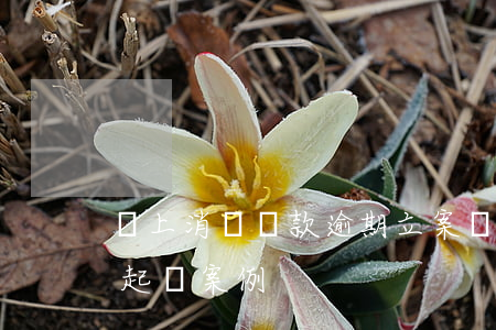 馬上消費貸款逾期立案(馬上消費金融逾期被起訴案例)