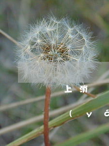 馬上消費逾期會起訴嗎(馬上消費逾期10天嚴(yán)重嗎)