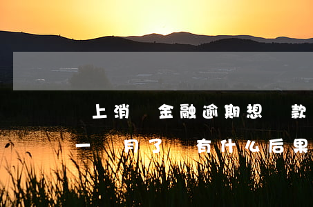 馬上消費金融逾期想還款(馬上消費金融逾期一個月了會有什么后果?)