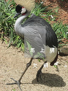 馬上網(wǎng)貸欠款一萬七逾期兩年(欠網(wǎng)貸1萬多逾期一年多了)