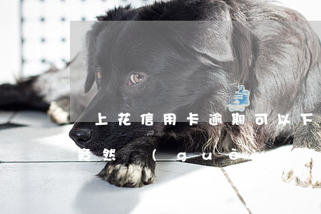 馬上花信用卡逾期可以下款嗎(有逾期信用卡竟然過(guò)了下卡了)