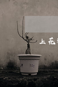 馬上花逾期說要上法院