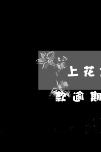 馬上花金融逾期多久會被起訴-馬上金融貸款逾期了