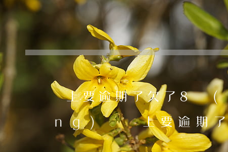 馬上要逾期了 欠了8萬(wàn)網(wǎng)貸(馬上要逾期了 欠了8萬(wàn)網(wǎng)貸)