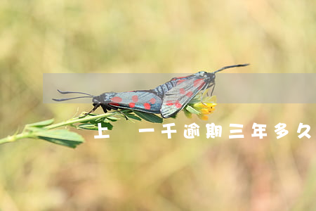馬上貸一千逾期三年多久才起訴呀
