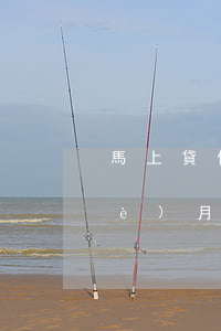 馬上貸信用卡逾期-馬上金融逾期一個(gè)月有事嗎