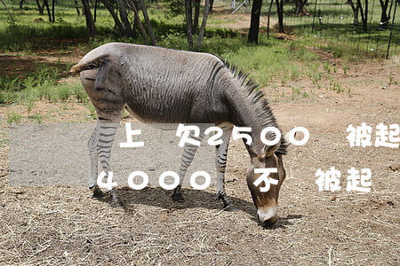 馬上貸欠2500會被起訴嗎(馬上金融欠款4000會不會被起訴)