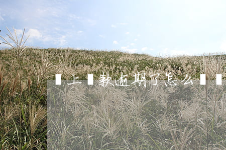 馬上貸款逾期了怎么還(馬上貸逾期咋處理)
