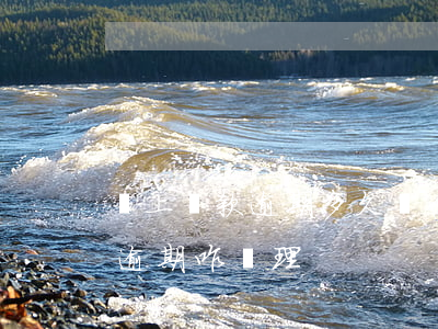 馬上貸款逾期多久會(huì)上訴(馬上貸逾期咋處理)