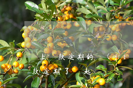 馬上貸款逾期的結(jié)果(馬上金融貸款逾期了會起訴嗎?)