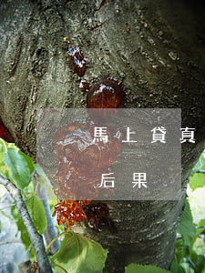 馬上貸真的會(huì)起訴嗎（馬上貸逾期后果）