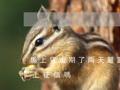 馬上貸逾期了兩天嚴重嗎(馬上金融逾期2天上征信嗎)