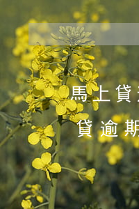 馬上貸逾期會(huì)被起訴坐牢嗎(馬上貸逾期咋處理)