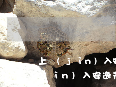 馬上進(jìn)入安逸花逾期起訴(馬上進(jìn)入安逸花逾期起訴)