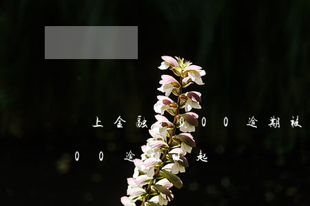 馬上金融3000逾期被起訴(馬上金融3000逾期被起訴)