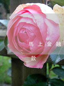 馬上金融三個月沒還-馬上金融三個月沒還款