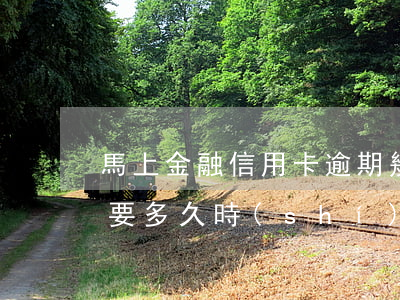 馬上金融信用卡逾期幾天(信用卡逾期解凍需要多久時(shí)間)