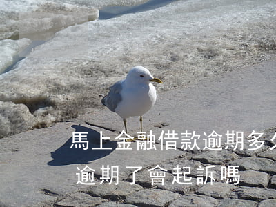馬上金融借款逾期多久會起訴 馬上金融貸款逾期了會起訴嗎?