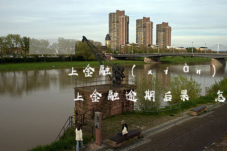 馬上金融現(xiàn)金貸逾期會起訴嘛(馬上金融逾期后果會怎樣)