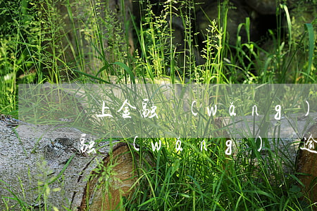 馬上金融網(wǎng)貸逾期備案(馬上金融網(wǎng)貸逾期備案)